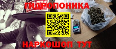 ешки Будённовск