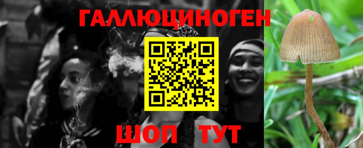 Псилоцибиновые грибы прущие грибы  Мегион  Псилоцибиновые грибы MAGIC MUSHROOMS 